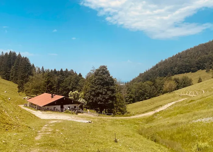 Ciao-aschau Gschwendtnerhof Ap21 Kappes Apartment